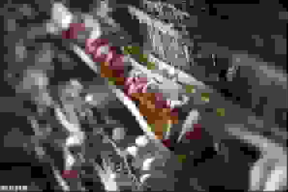 طرح بومی کاهش هزینه و مصرف انرژی مرغداری همچنان اجرا نمی‌شود