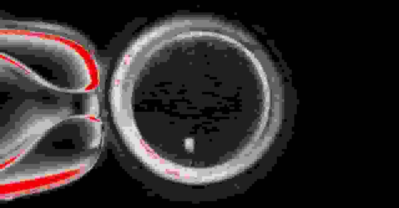 دانشمندان تخمک‌های انسانی را از سلول‌های پوستی تولید کرده‌اند