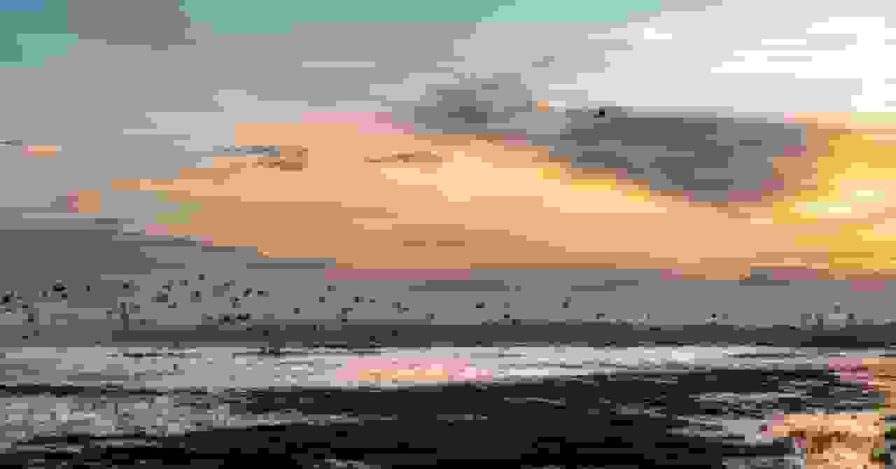 بارش‌های سنگین فرودگاه مکزیکوسیتی را به تالاب تبدیل کرد