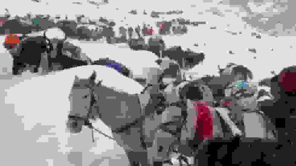 صدها نفر در کوه اورست گرفتار شدهاند – رسانهها