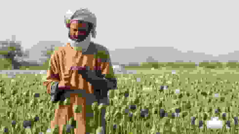 اعتیاد، ملاها و مت: درون جنگ سخت طالبان علیه مواد مخدر در افغانستان