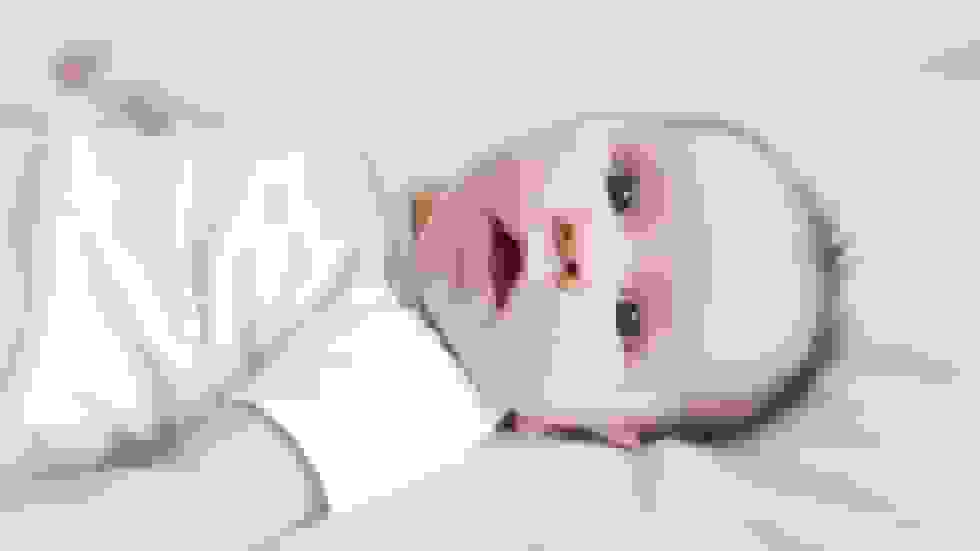 ثروتمندان فناوری در تلاش برای ایجاد نوزاد مهندسی‌شده – وال استریت ژورنال