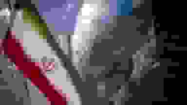 ادعای فرمانده سابق ایرانی: عربستان سعودی دارای سلاح هسته‌ای است