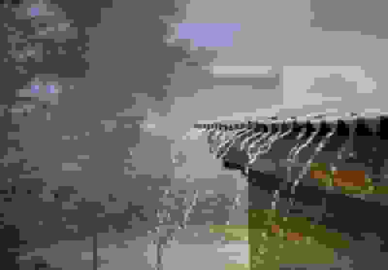 هواشناسی ایران ۱۴۰۴/۸/۳؛ بارش در سواحل دریای خزر از دوشنبه