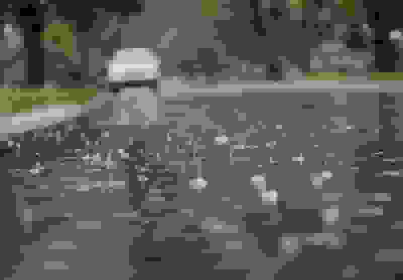 ترافیک سنگین در جاده چالوس و بارش باران در اردبیل و گیلان