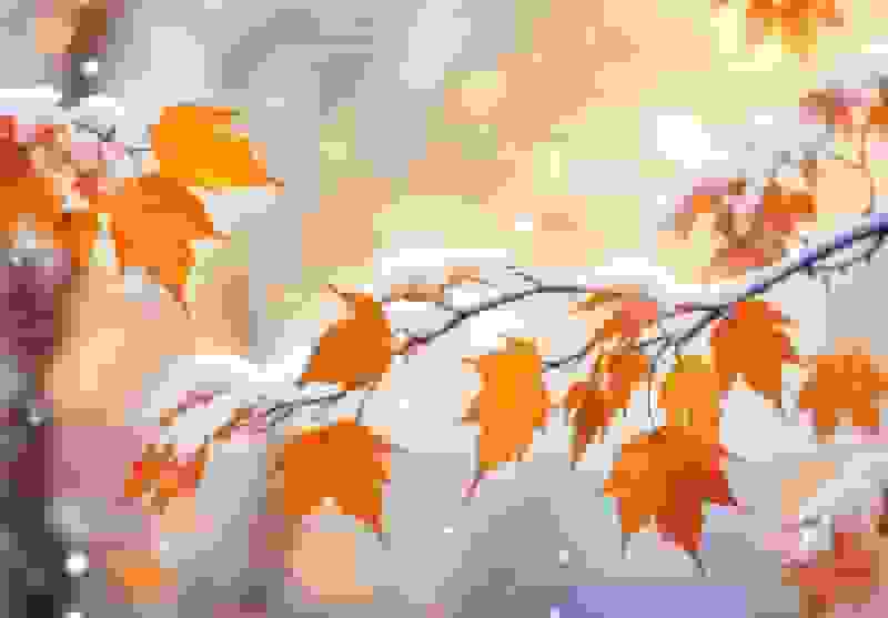 هشدار نارنجی هواشناسی برای کشاورزان ایران