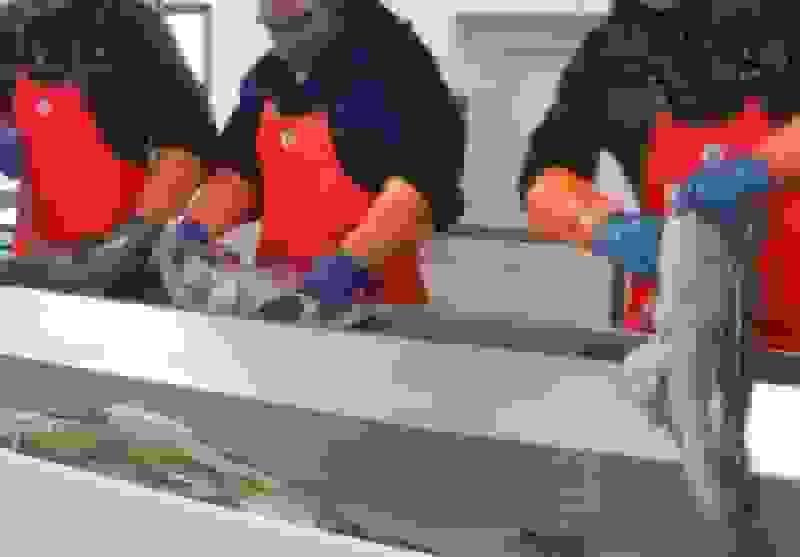 تولید بسته‌بندی‌های ضدباکتری مواد غذایی با فناوری هسته‌ای