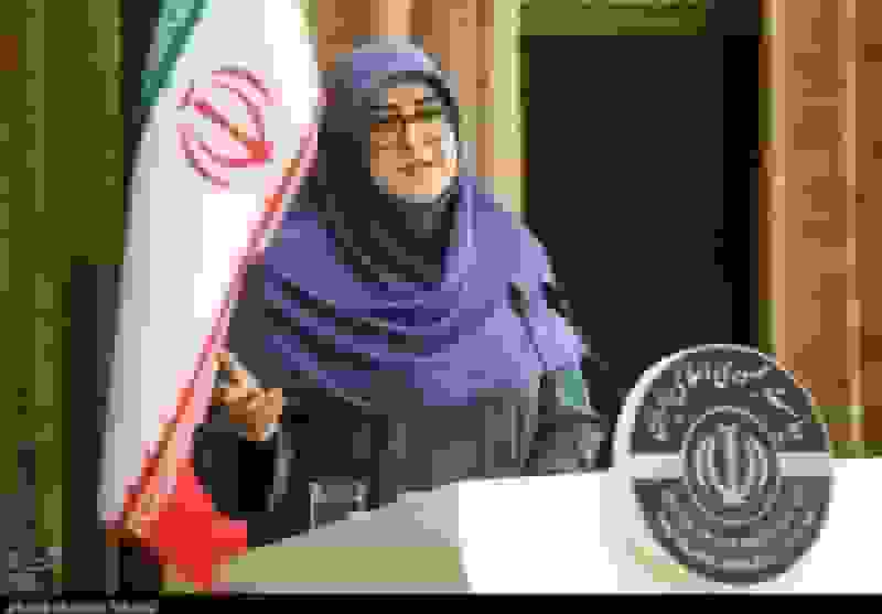 مهاجرانی: دولت پیگیر کنترل تورم و گرانی است