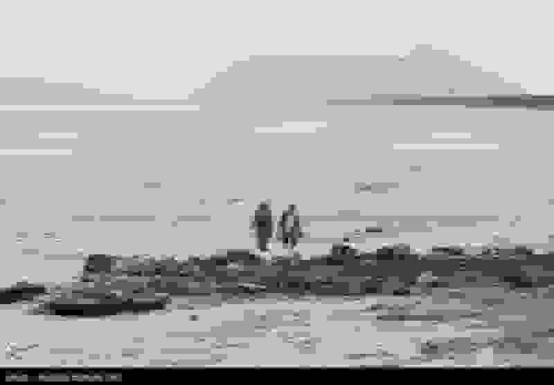 نجات دریاچه ارومیه با ۵۰۰ میلیون مترمکعب؟ ارقام ناکافی برای احیای دریاچه