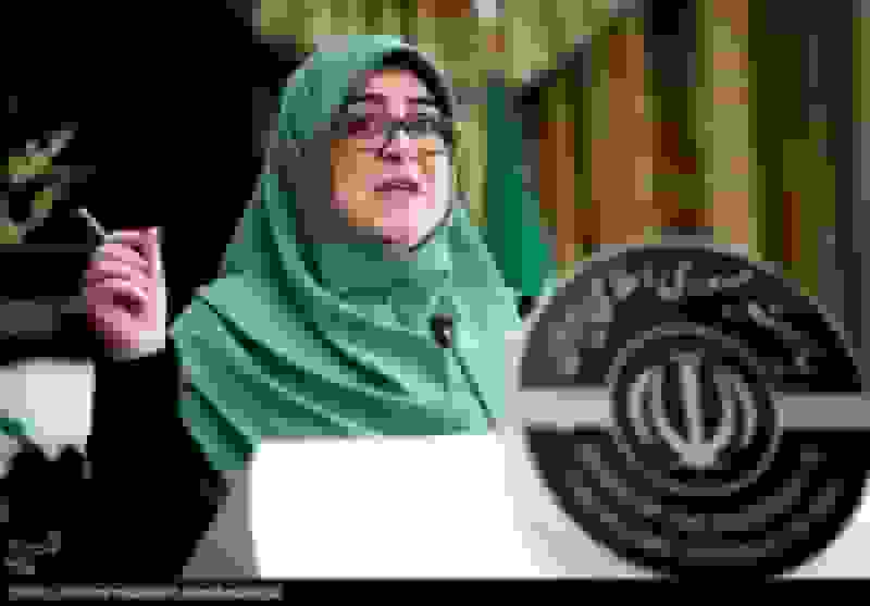 مهاجرانی: آرایش جدید دولت در قبال مکانیسم ماشه و نوسان قیمت‌ها