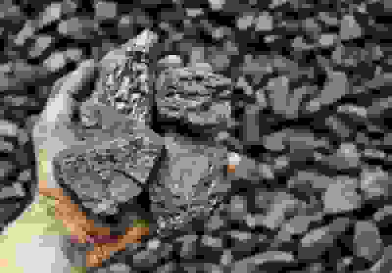 زغال‌سنگ در آستانه قانون جدید؛ پایانی بر مرگ‌های خاموش معادن؟