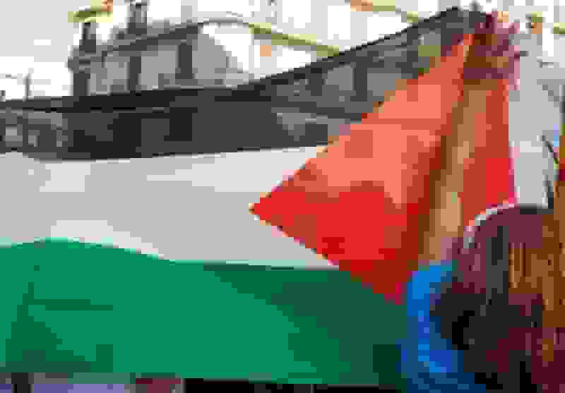 تیغ تیز سانسور نویسندگان آمریکایی حامی فلسطین