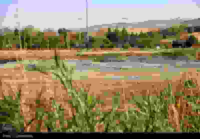 تمدید خشکسالی تا پایان آذرماه؛ پاییز امسال خشک‌ترین پاییز قرن