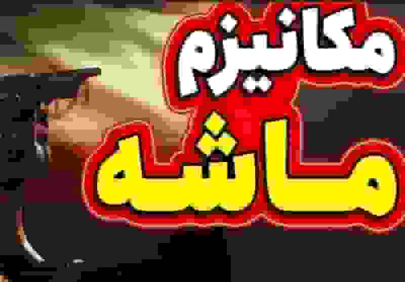 نگاه راهبردی ایران به شرق: لازمه توسعه در عصر پساماشه