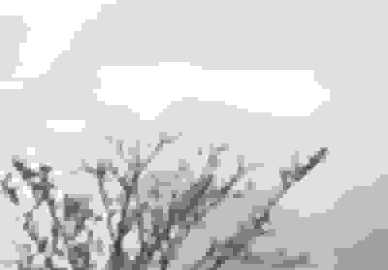 انفجار مهیب در معدن شن و ماسه سوادکوه و پیامدهای زیست‌محیطی