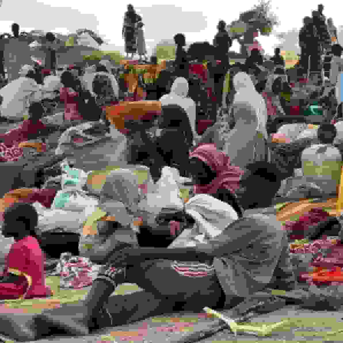 گزارش پزشکان بدون مرز از وخامت اوضاع آوارگان فاشر سودان