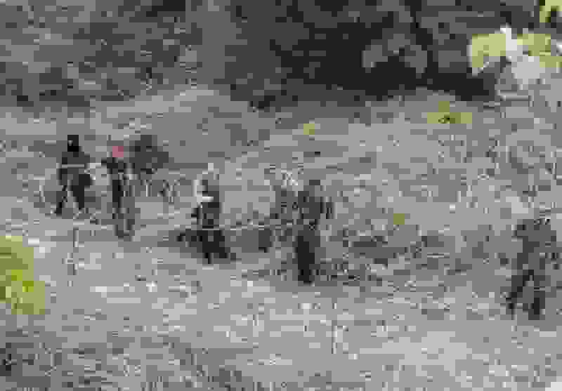 درگیری مرزی تایلند و کامبوج با شلیک خمپاره