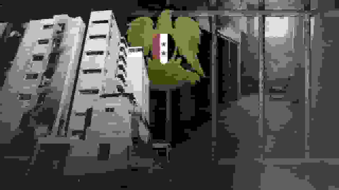 شاخه فلسطین: لانه شکنجه در سوریه اسد