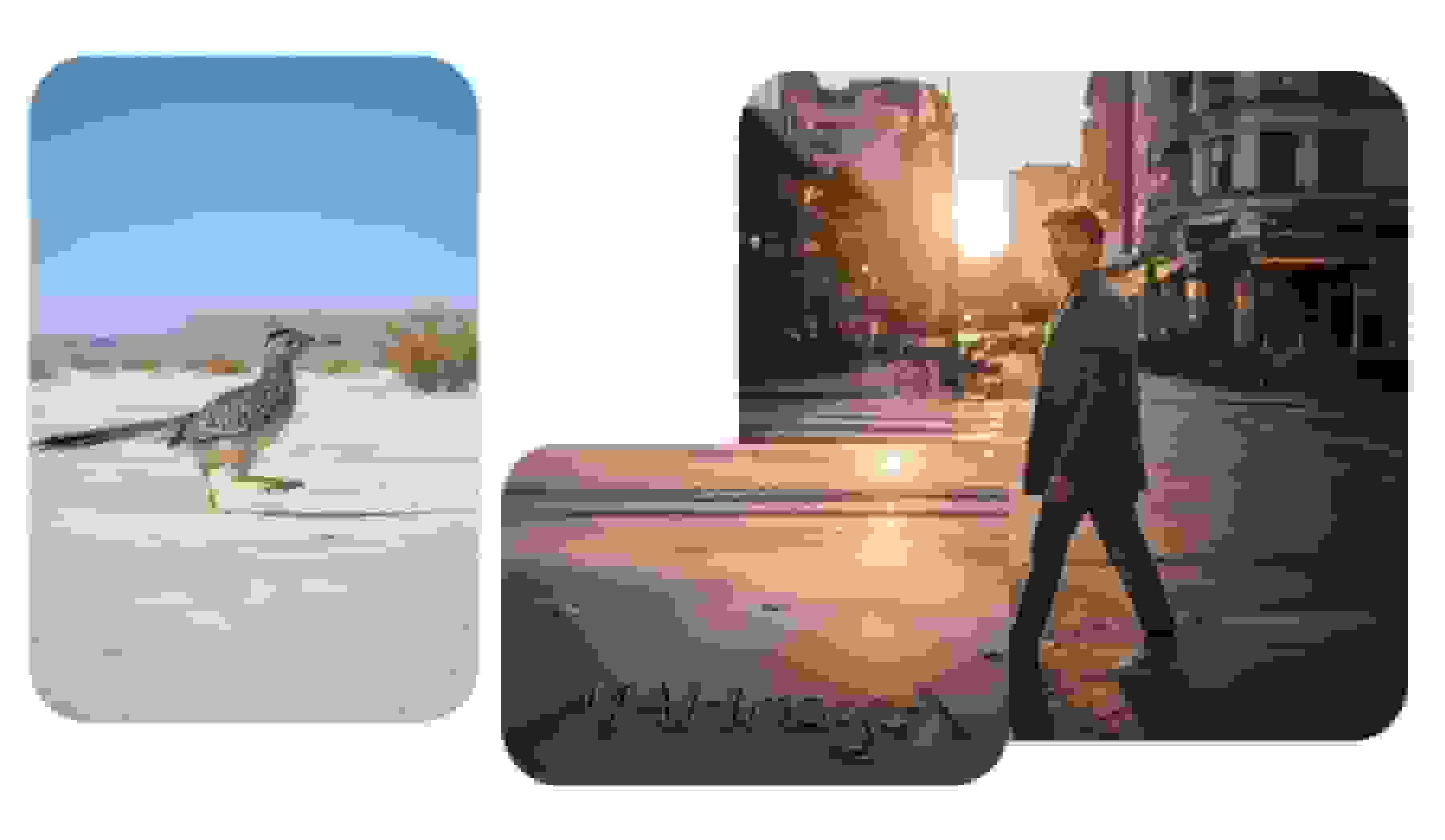 مایکروسافت فناوری DirectSR را در رویداد GDC معرفی می‌کند