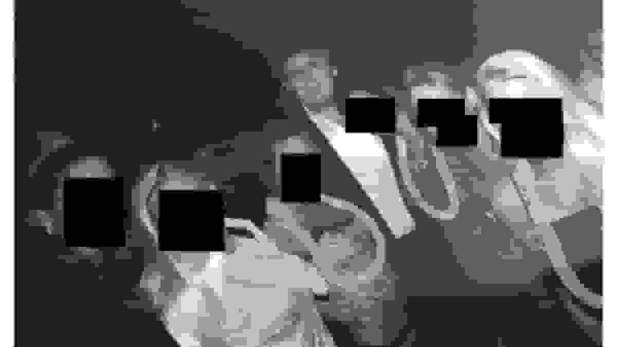 حذف تصاویر ترامپ از پرونده اپستین توسط وزارت دادگستری آمریکا