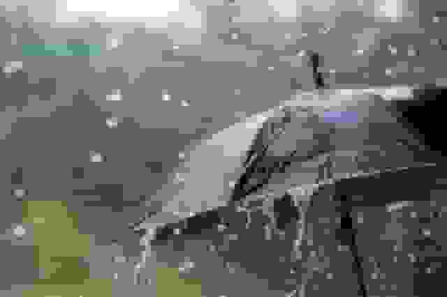 برف و باران مهمان آخر هفته گیلان