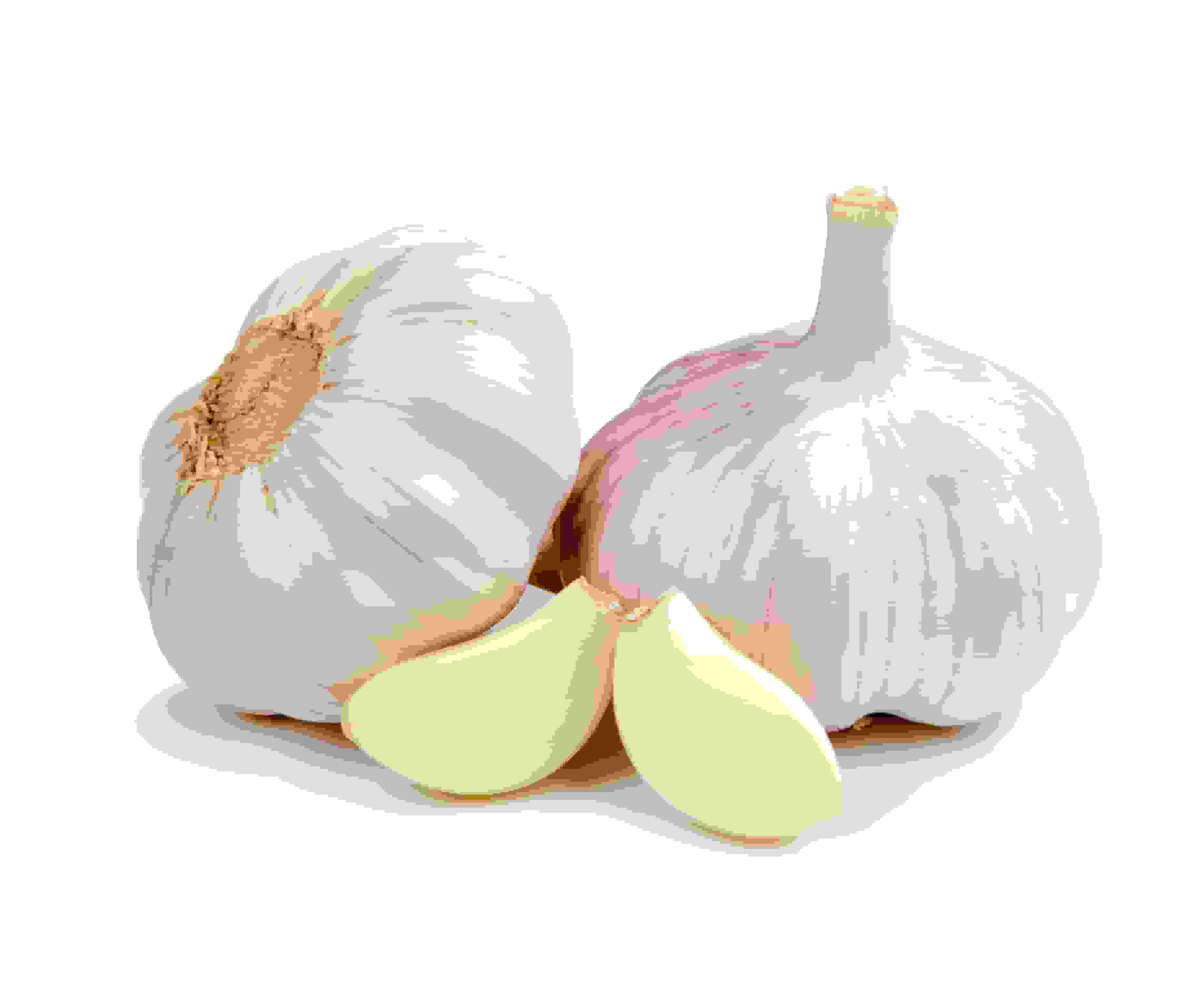 سیر و کاهش علائم سرماخوردگی