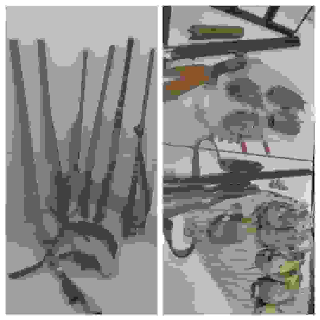 دستگیری ۶ متخلف شکار پرندگان در شهرستان اردل