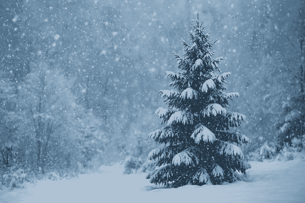 بارش برف و باران در راه استان ایلام