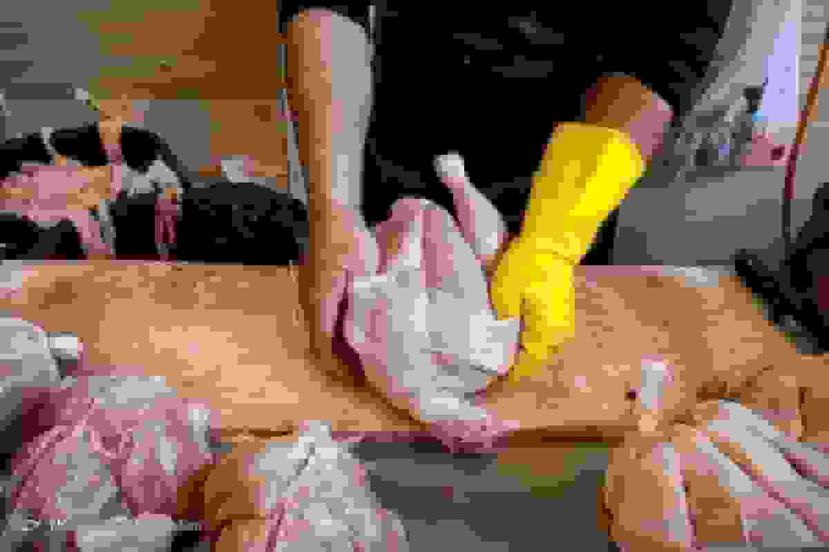 عدم مشکل در تأمین مرغ برای ماه رمضان و نوروز