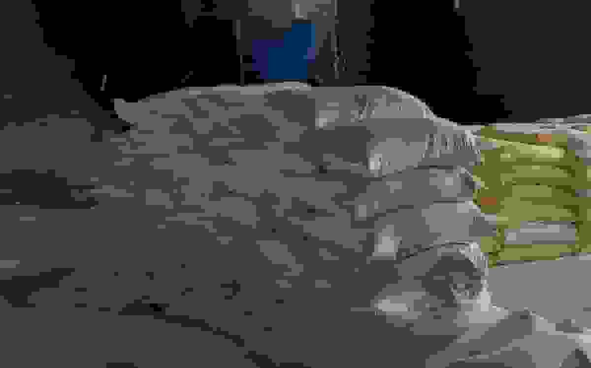 ۲ باند قاچاق آرد توسط پلیس امنیت اقتصادی فراجا منهدم شدند