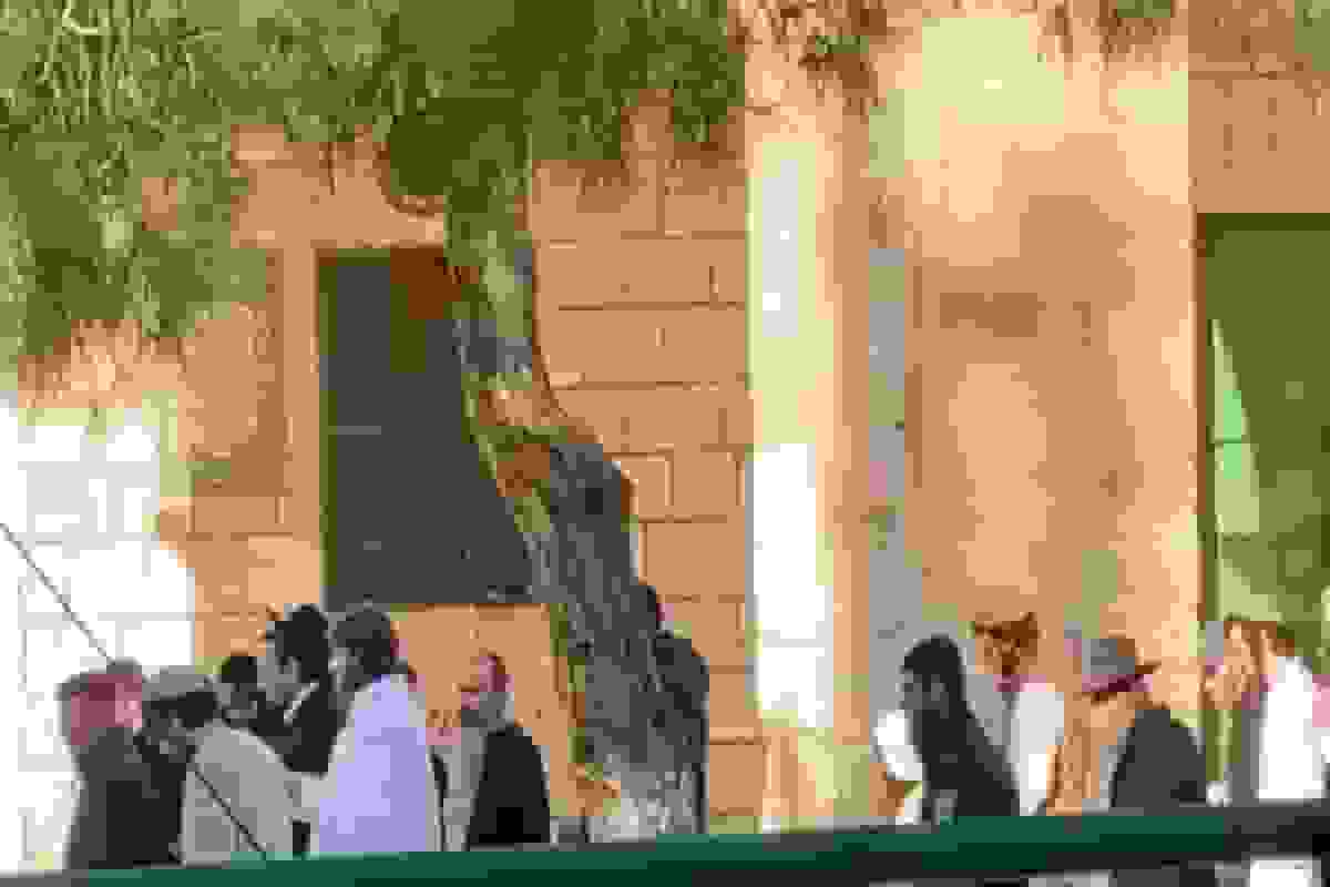 ورود شهرکنشینان صهیونیست به مسجدالاقصی