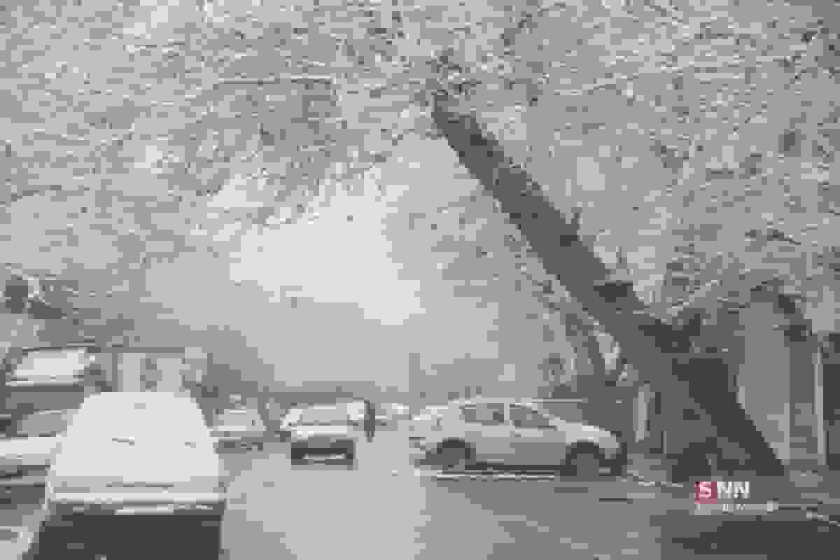 هشدار سطح زرد برف و باران برای تهران و سرمای بیشتر هوا