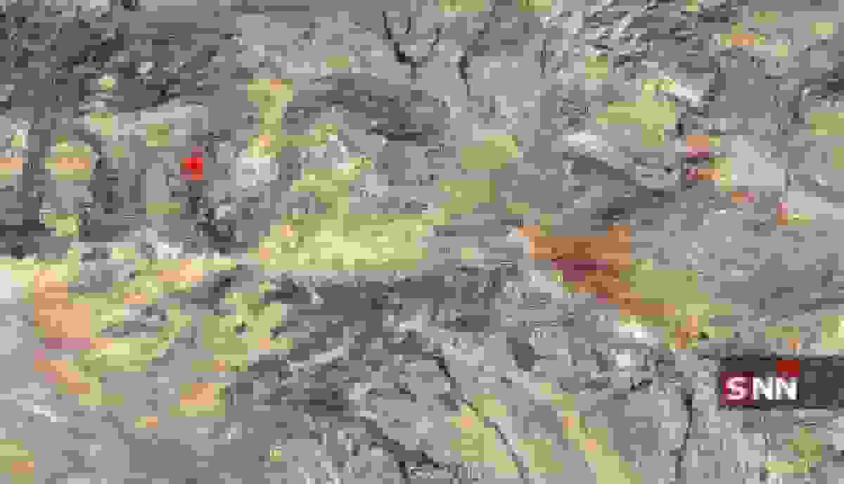 وقوع زلزله ۴.۵ ریشتری حوالی شبستر در آذربایجان‌شرقی