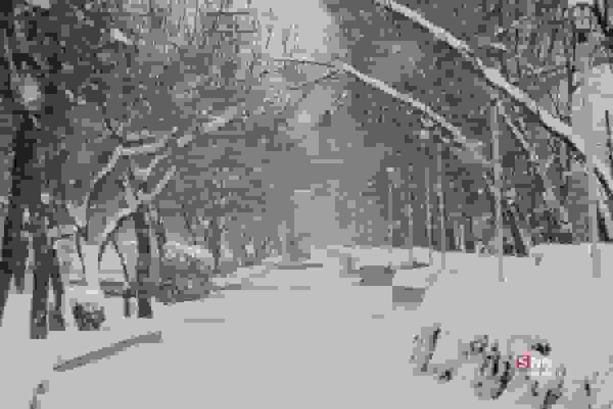 استان‌های کشور برفی و بارانی می‌شوند؟