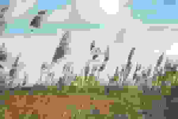 هشدار وزش باد شدید در گیلان برای ۷۲ ساعت آینده