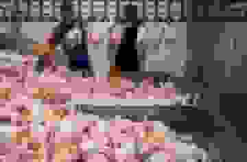 جویبار ۱۰ درصد گوشت سفید مازندران را تامین می‌کند