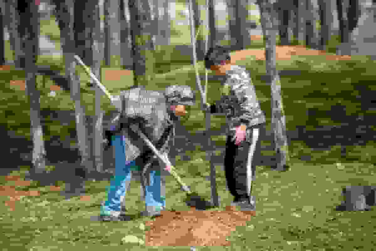 فعالیت ۱۱ هزار دانش‌آموز محیط‌یار در مدارس سراسر کشور