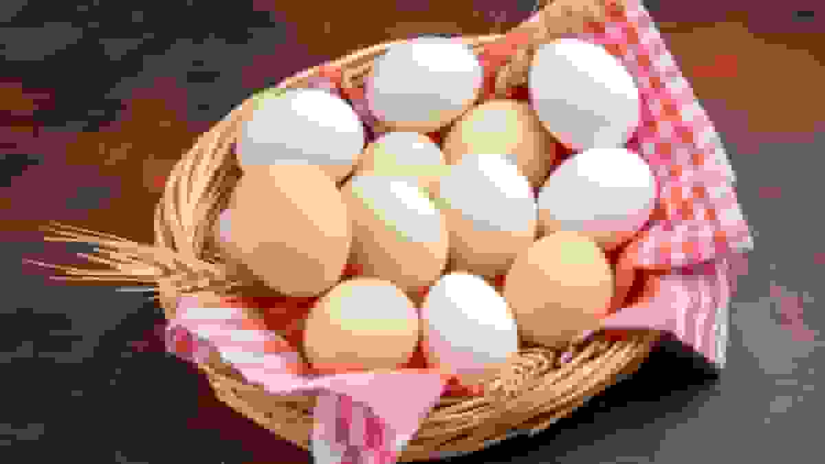 اعلام قیمت انواع تخم مرغ در میادین میوه و تره بار تهران