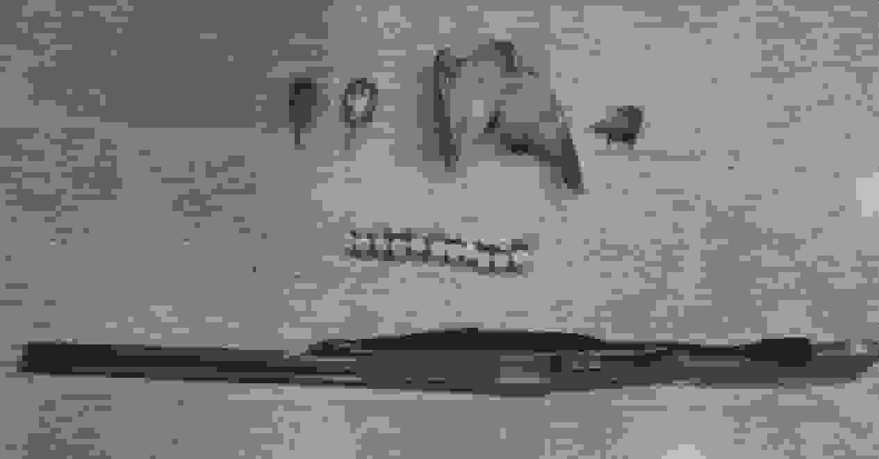 دستگیری متخلفین زیست محیطی در لردگان