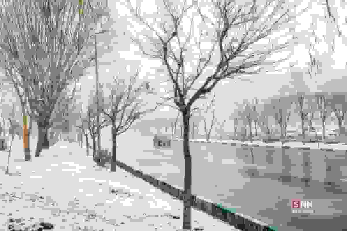 تردد روان در محورهای شمالی و برف و باران در ۵ استان