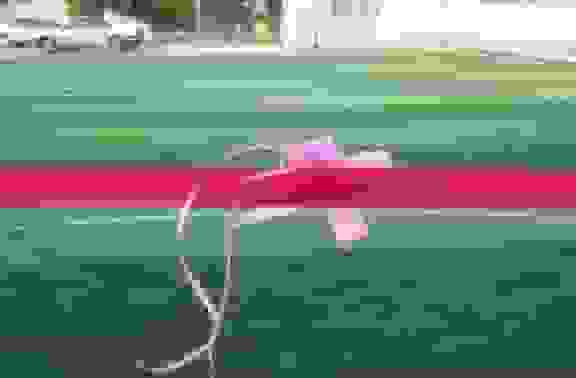 افتتاح زمین چمن مصنوعی روستایی باشت با ۳ میلیارد تومان اعتبار