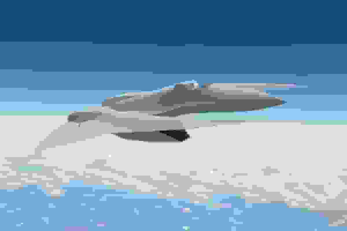 آیا جنگنده‌های نسل ششم در راه است؟ رونمایی از طراحی جاه‌طلبانه