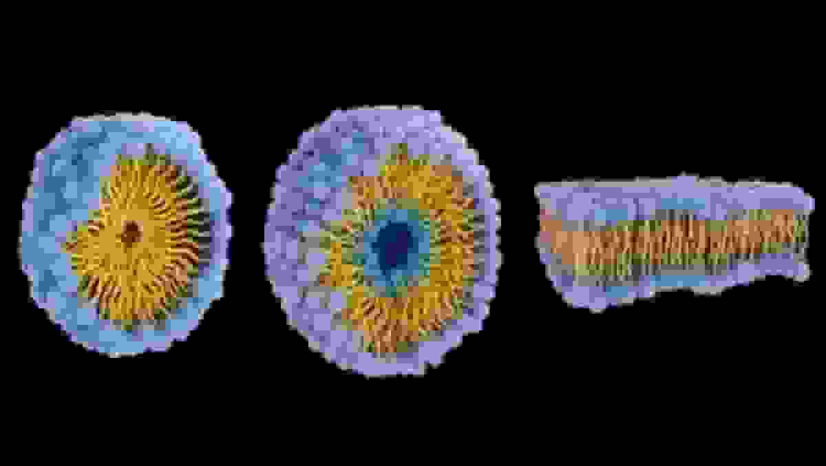 نسل جدید رباتهای میکروسکوپی شناور در بدن