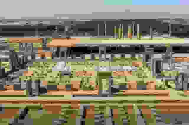 پیگیری قاطع تخلف صورتگرفته در مجموعه جهانی تخت جمشید