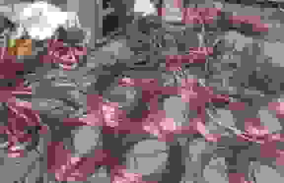 دستگیری سارق حرفه‌ای کابل برق در کهگیلویه