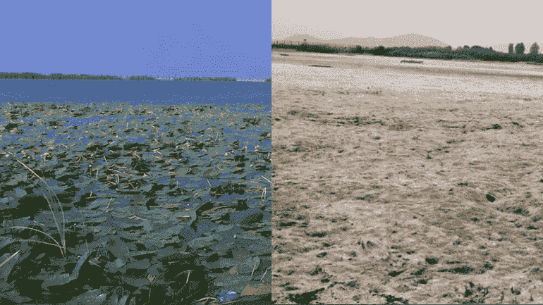 سراب نیلوفر کرمانشاه خشک شد