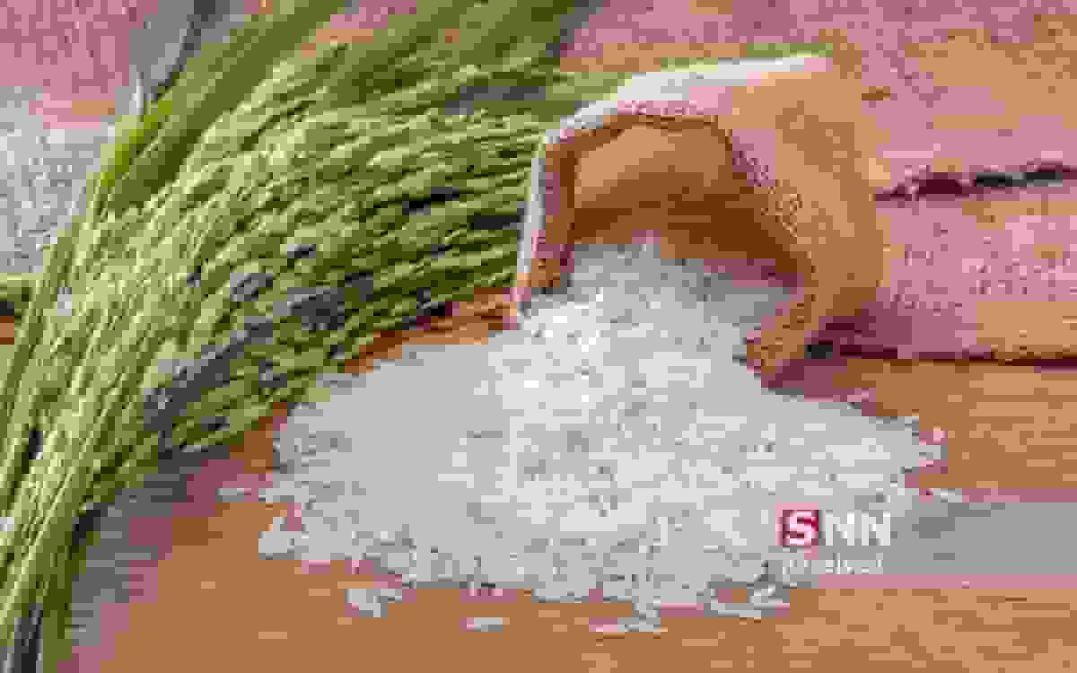 واردات ۱.۶ میلیون تن برنج برای ایجاد تعادل در بازار