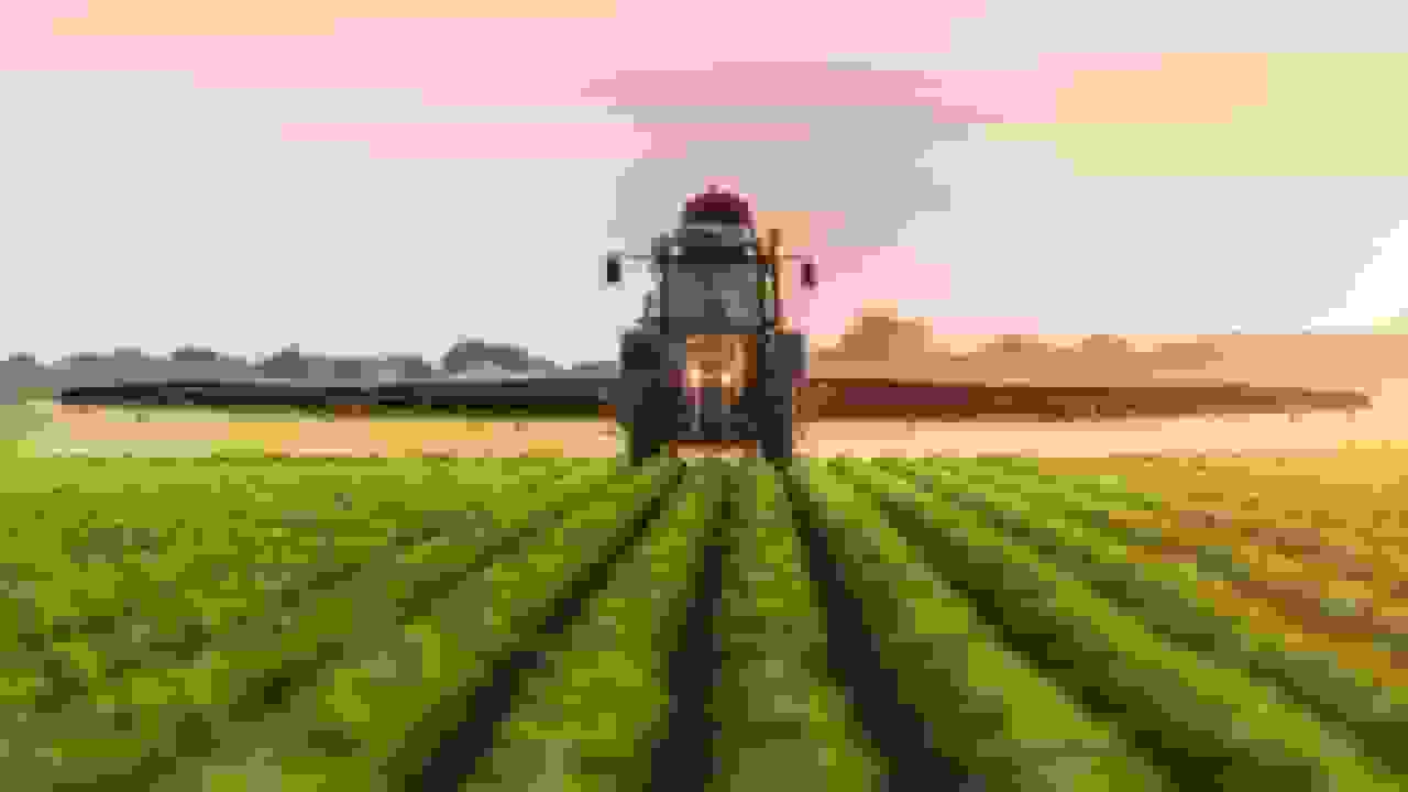 تخصیص سالانه ۵۰ همت اعتبار برای اجرای مصوبه الگوی کشت