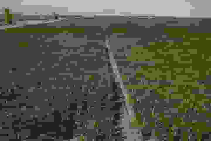 اشتغالزایی برای ۵۰ هزار نفر با جهش فعالیتهای کشاورزی در کرمانشاه