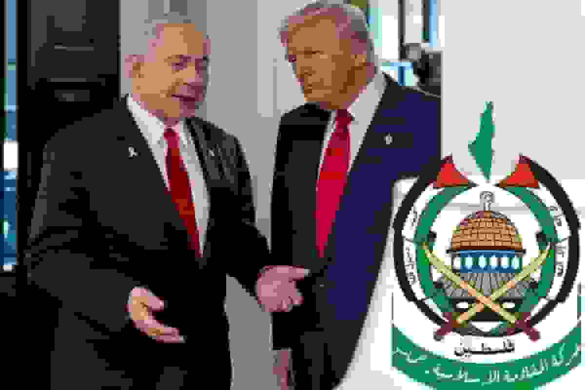 کارشناس بینالمللی: حماس بهترین سناریو را در پاسخ به طرح ترامپ برگزید